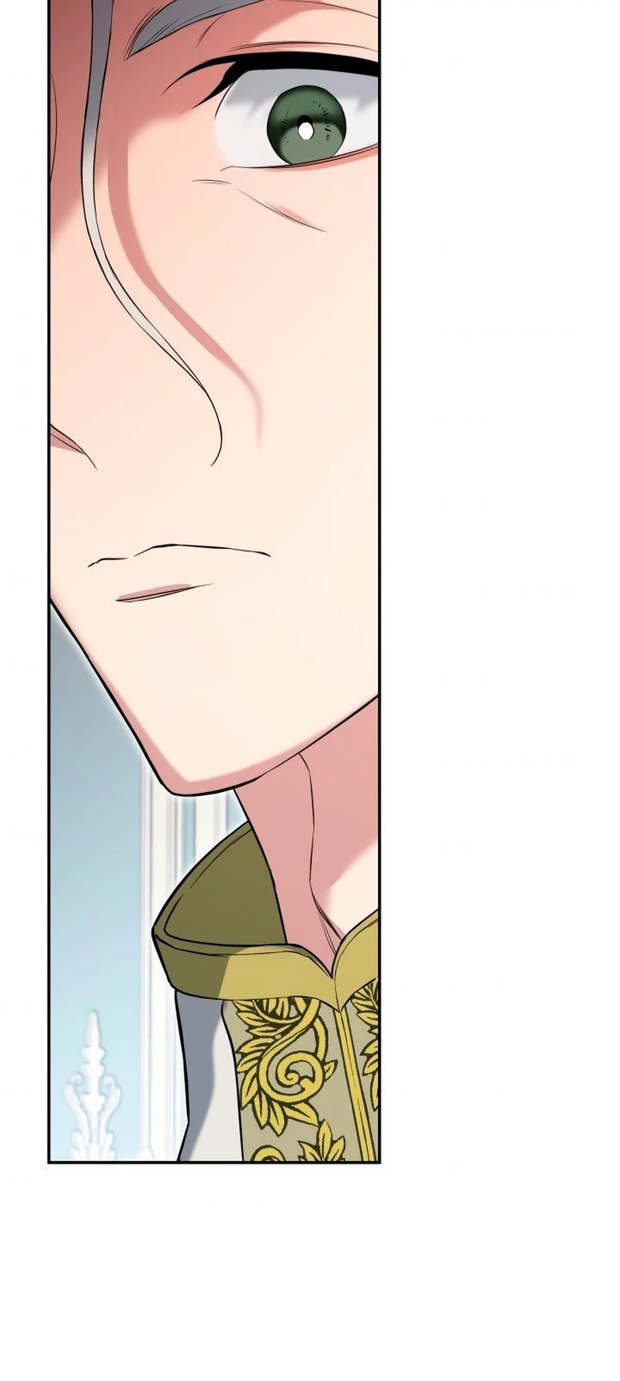 Marriage of Convenience chapitre 27, page 101