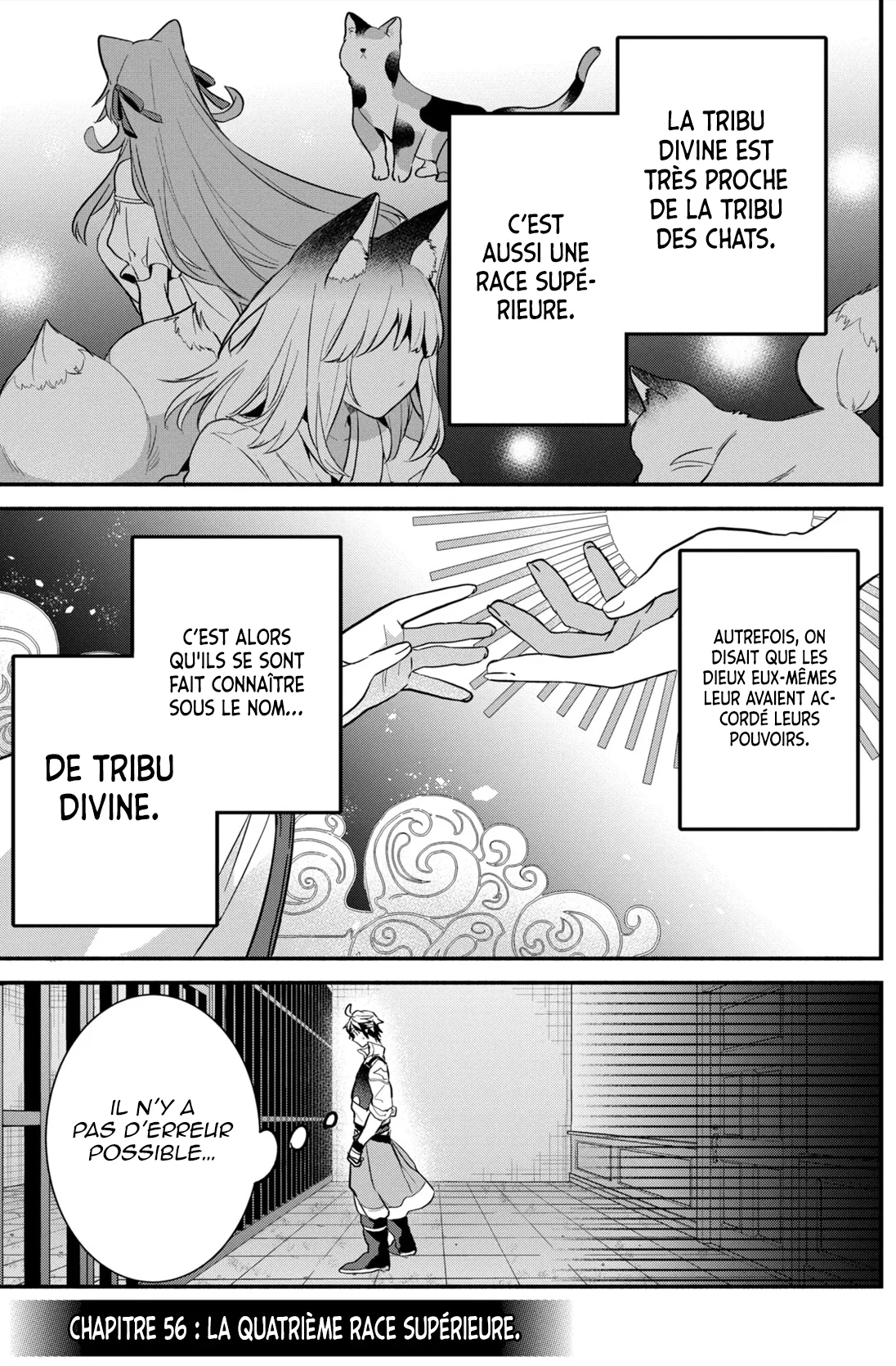 Yuusha Party wo Tsuihou sareta Beast Tamer, Saikyoushu no Nekomimi Shoujo to Deau chapitre 56, page 2